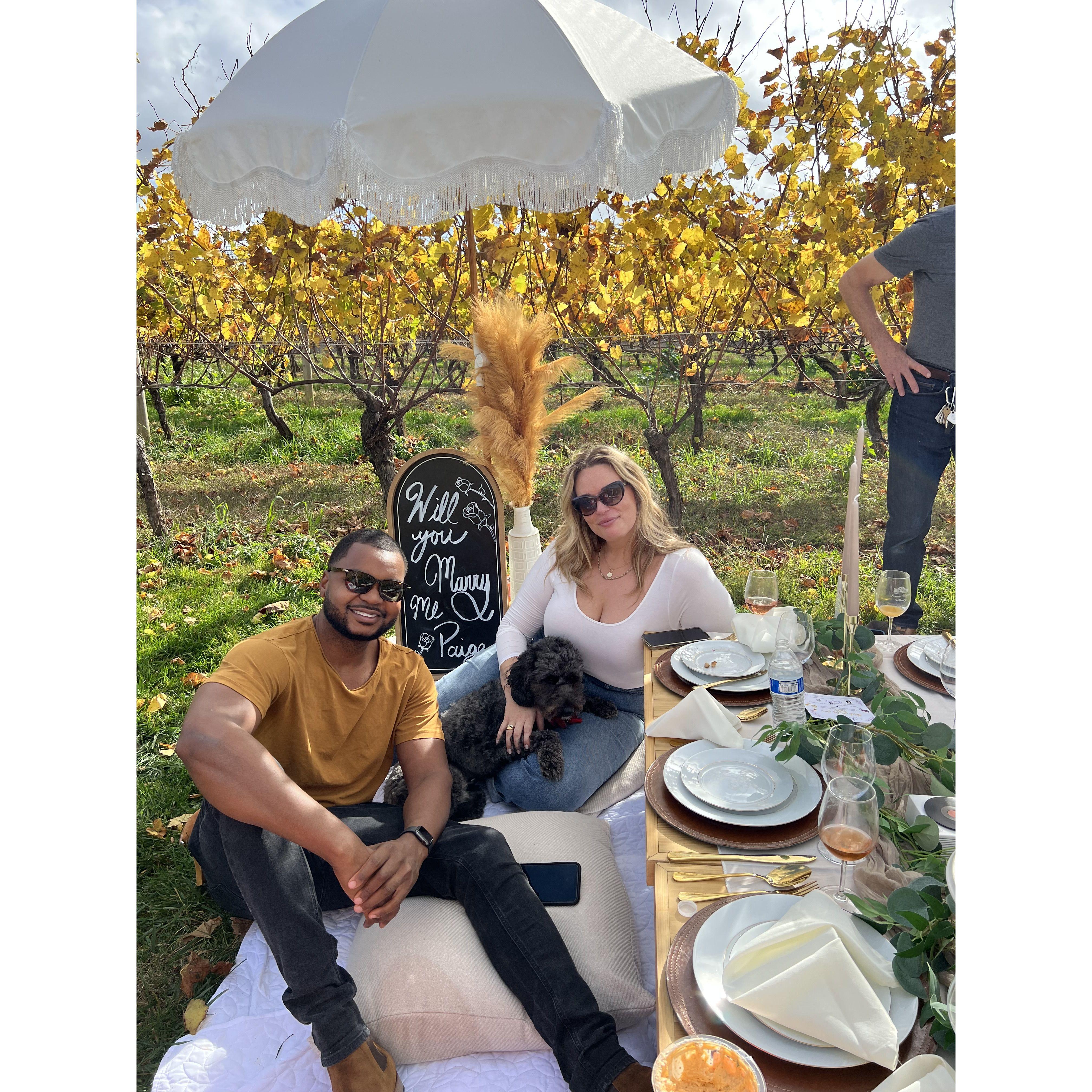 Engagement November 2022