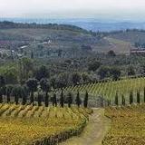 Wine Tasting in Siena