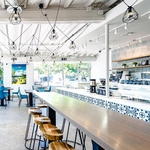 Chocolate Fish Coffee Roasters