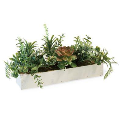Boston International Succulent Tablescape