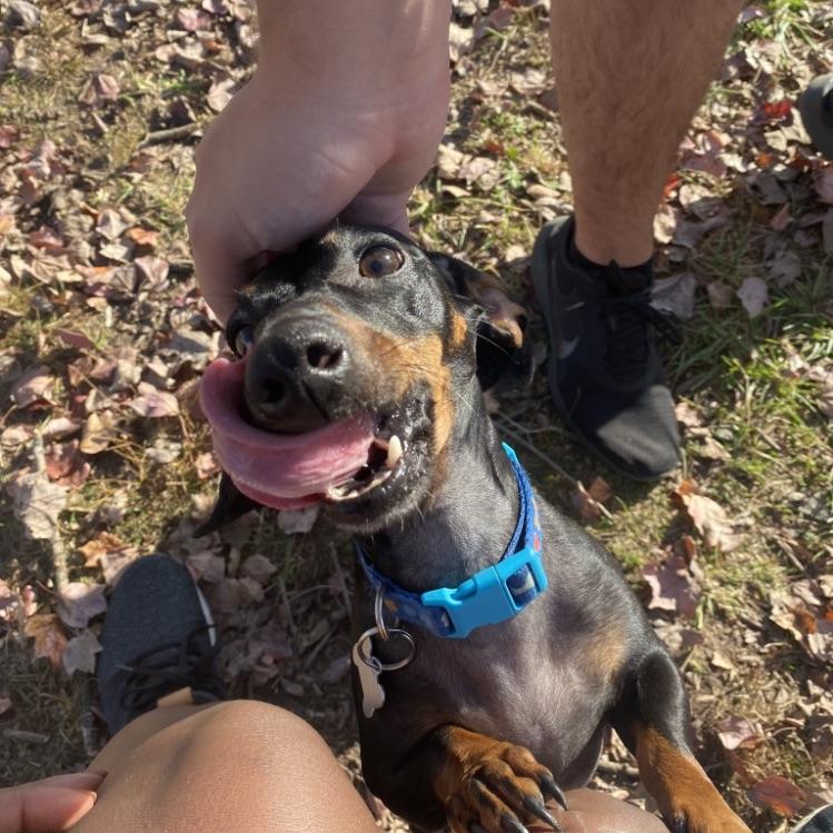 Look at that Face