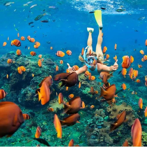 Phi Phi Island Snorkeling & Sightseeing - Phuket
