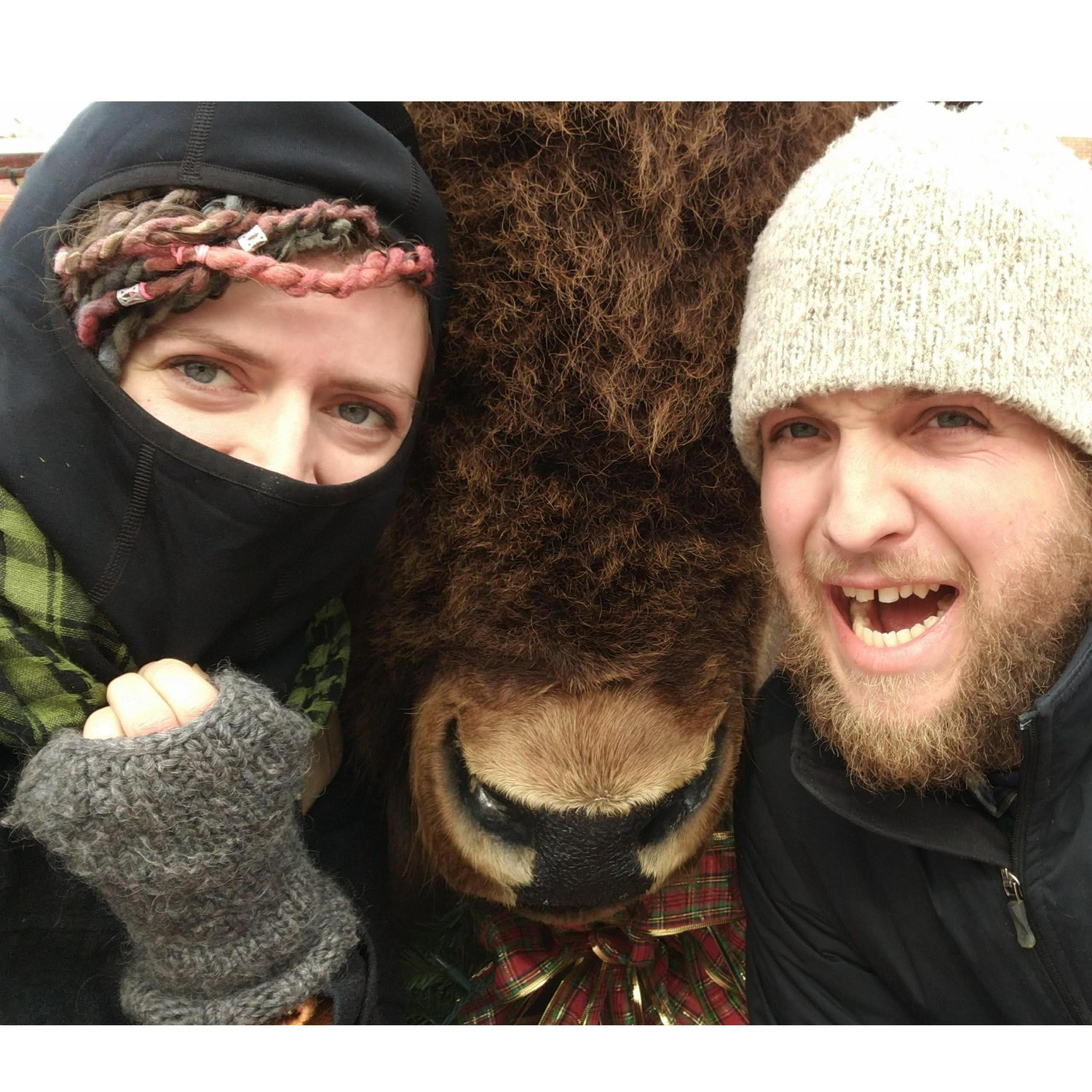 We are all-weather explorers! This day was frigid but totally worth it for the friendly beast we found.