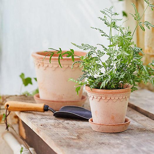 Bergs Palace Pot + Saucer