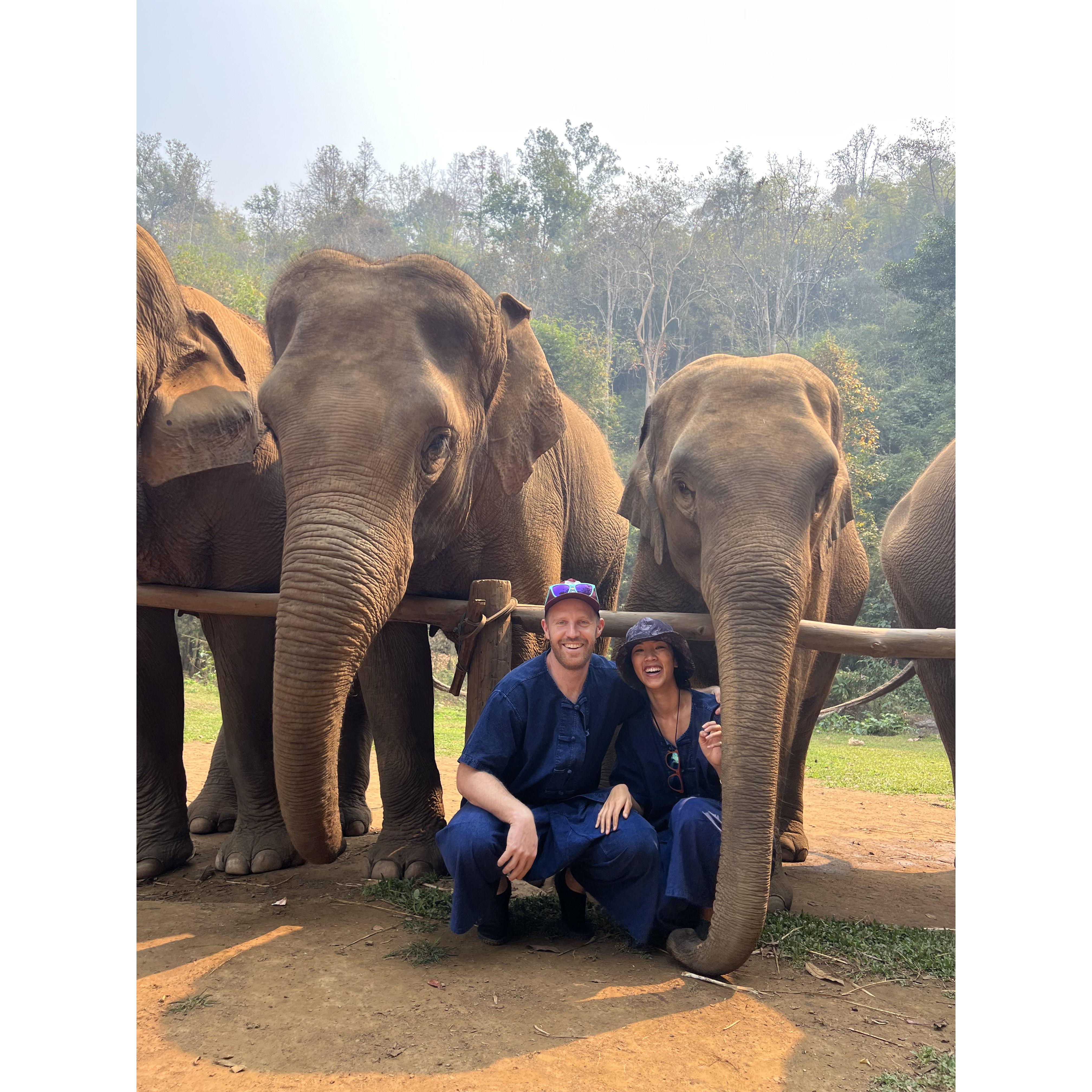 Hanging with elephants in Chiang Mai