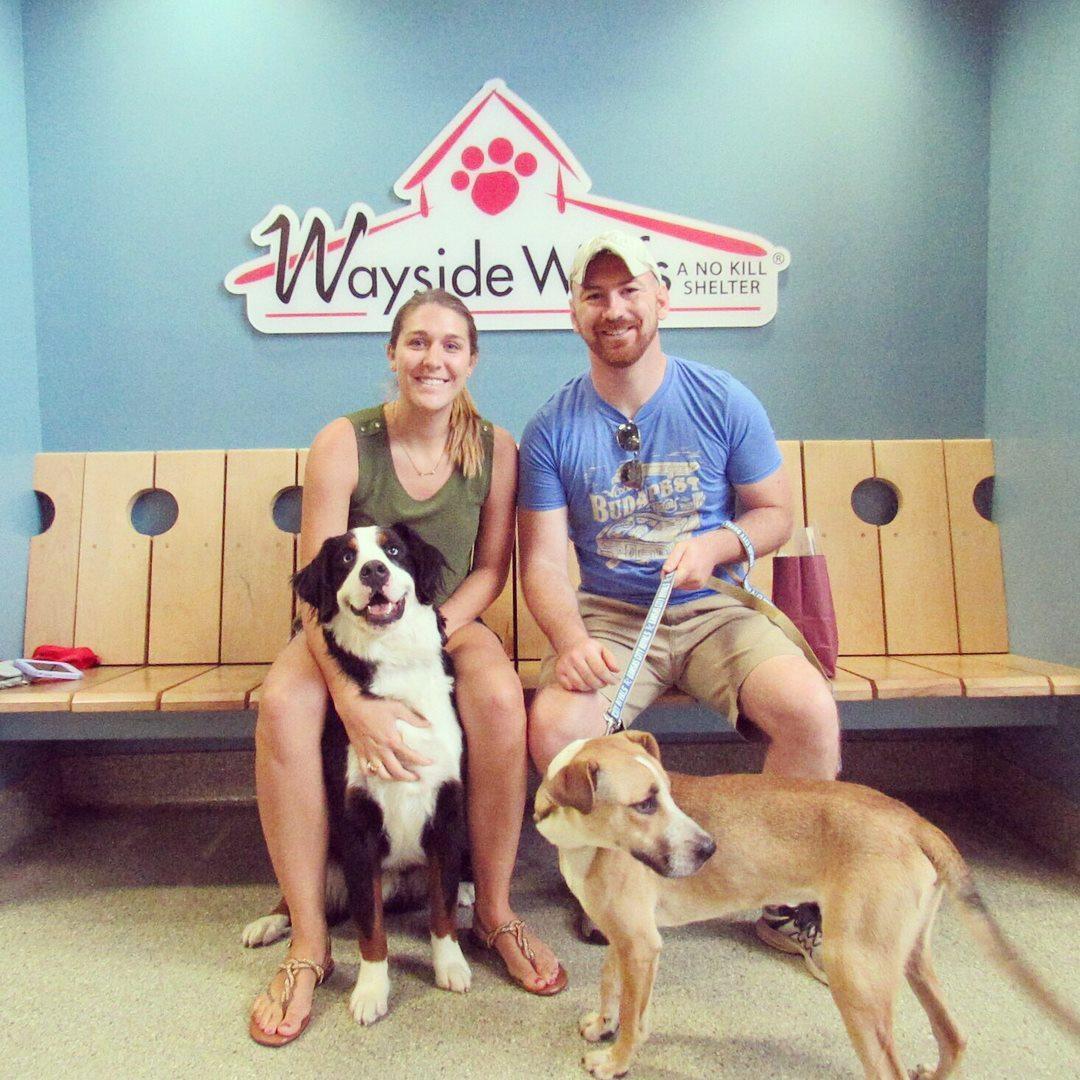 The day they adopted Luka!