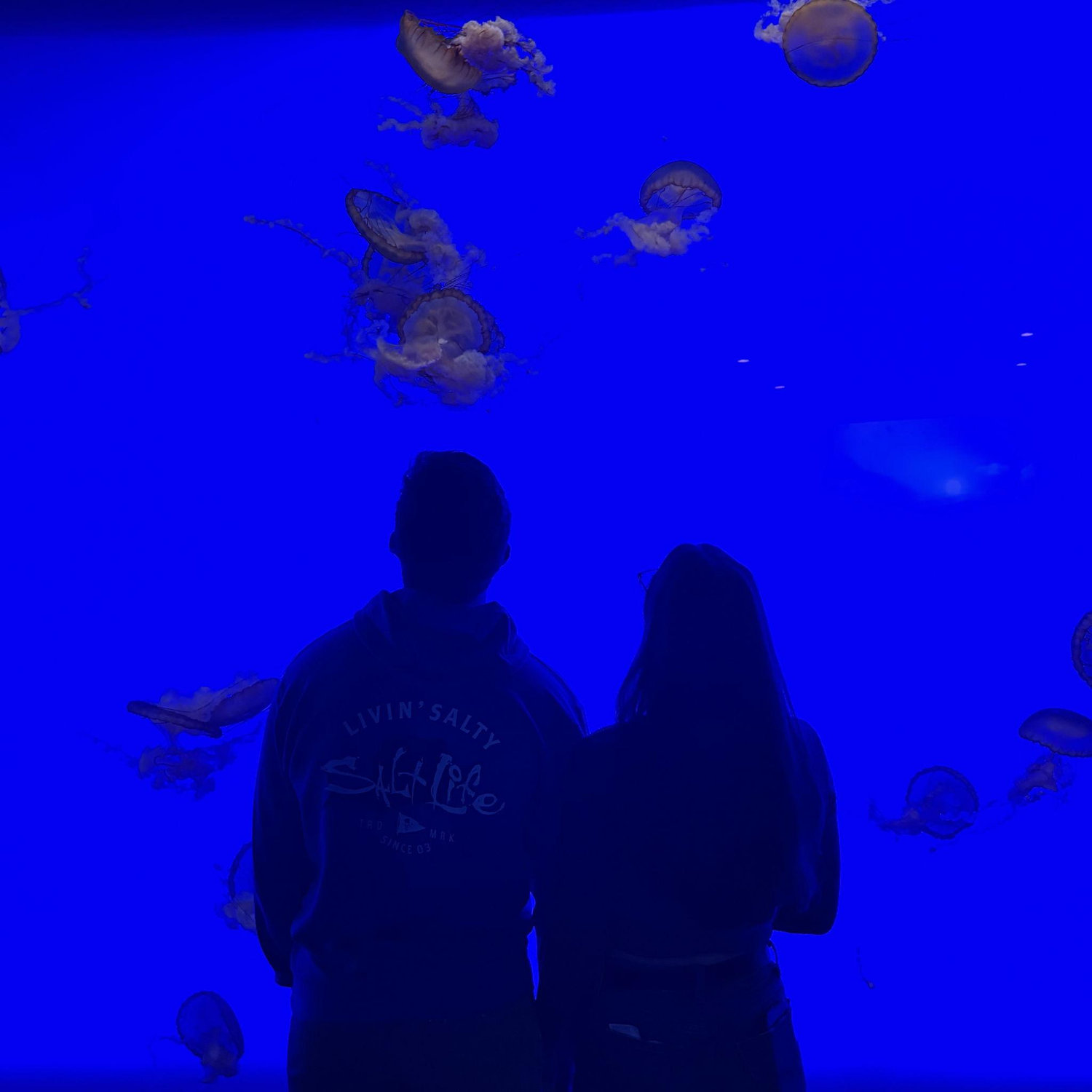 Aquarium at Pheonix Arizona