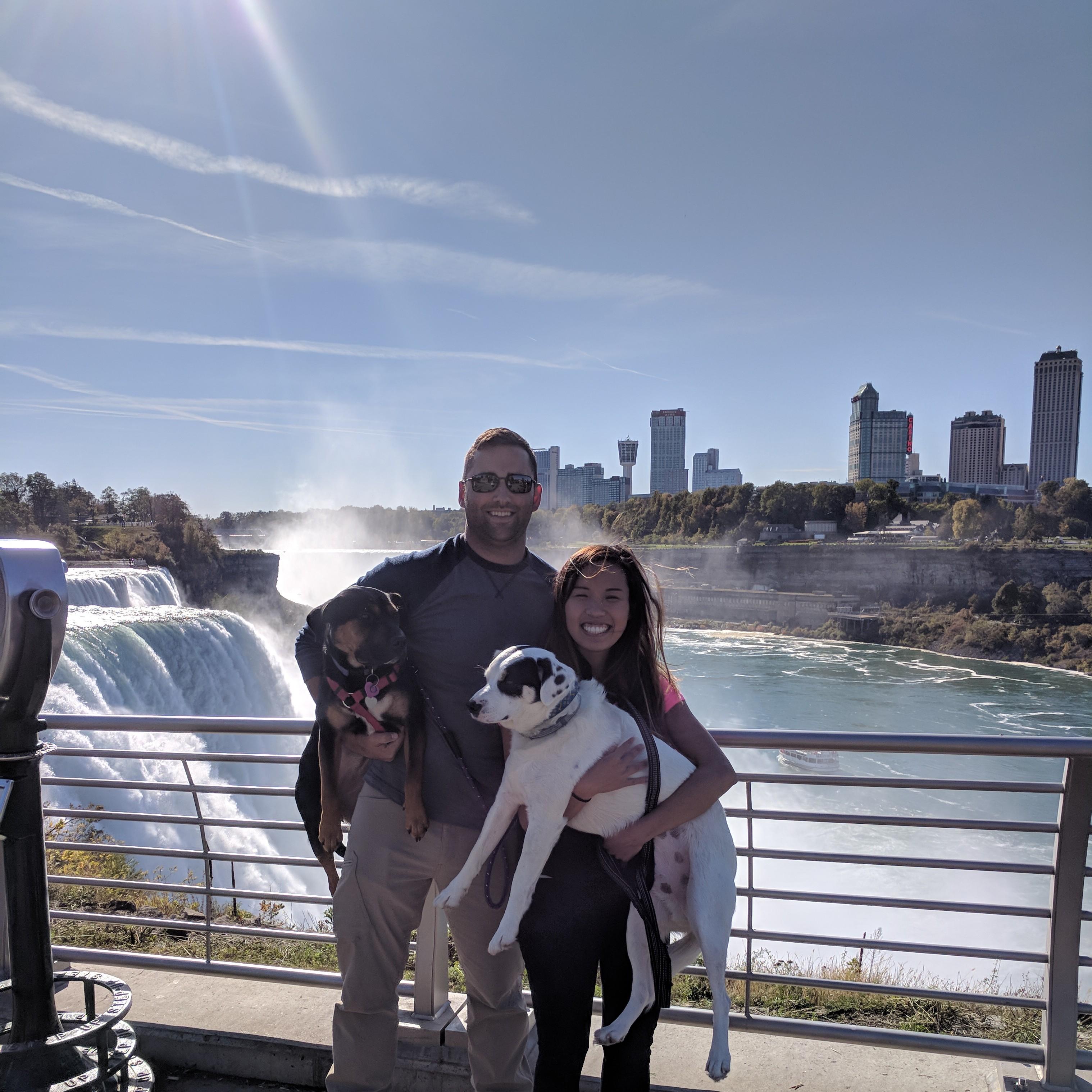 Niagara falls with the doggos