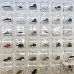 Social Status