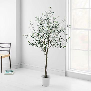 Faux Potted Green Olive Tree - 6'