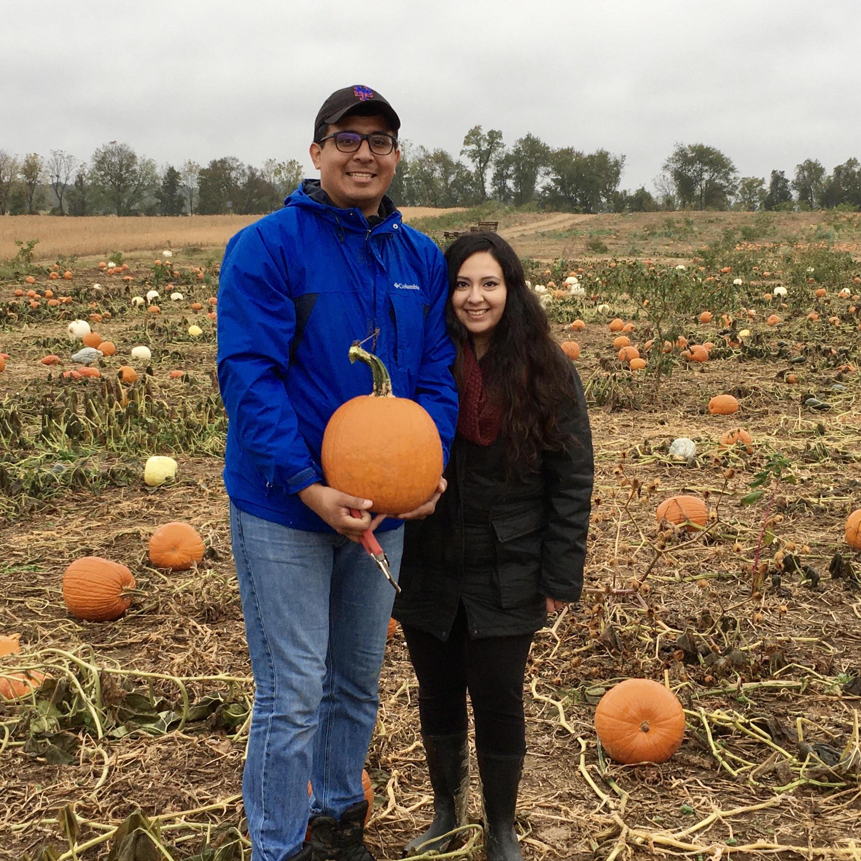 Pumpkin picking with the fam!