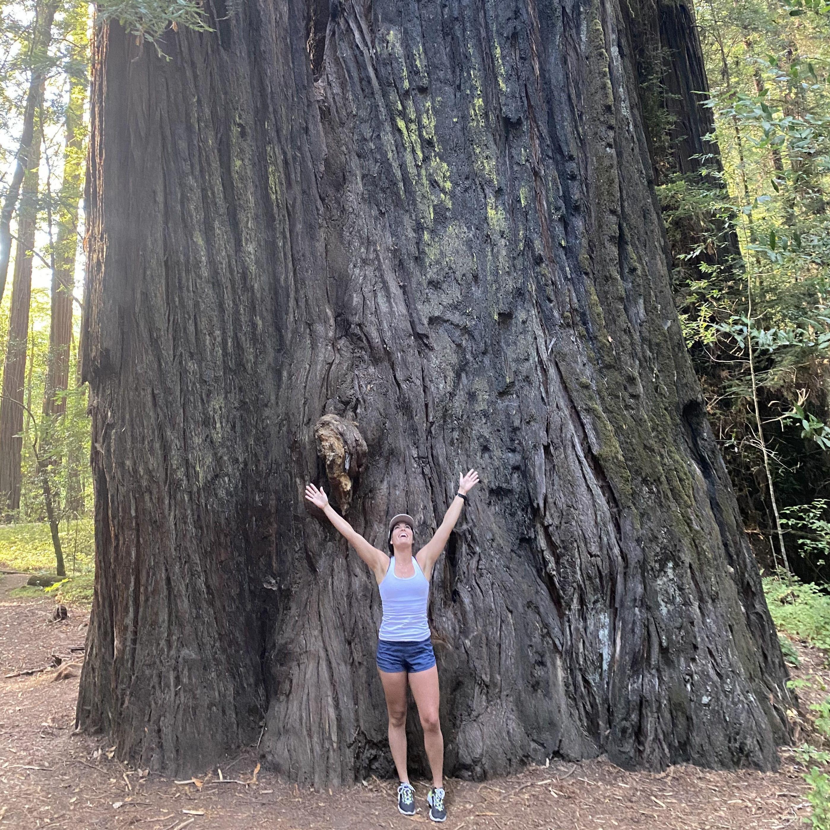 Did a road trip from Sacramento up HWY 101 and drove through the Redwood Forest