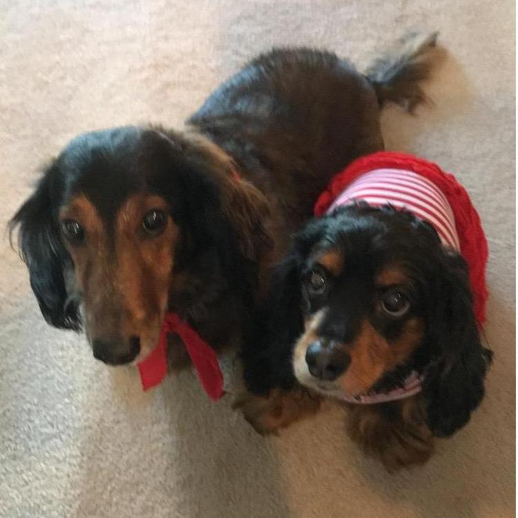 The cutest kids in their "Badger gear" to cheer on Wisconsin
