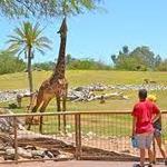 Phoenix Zoo