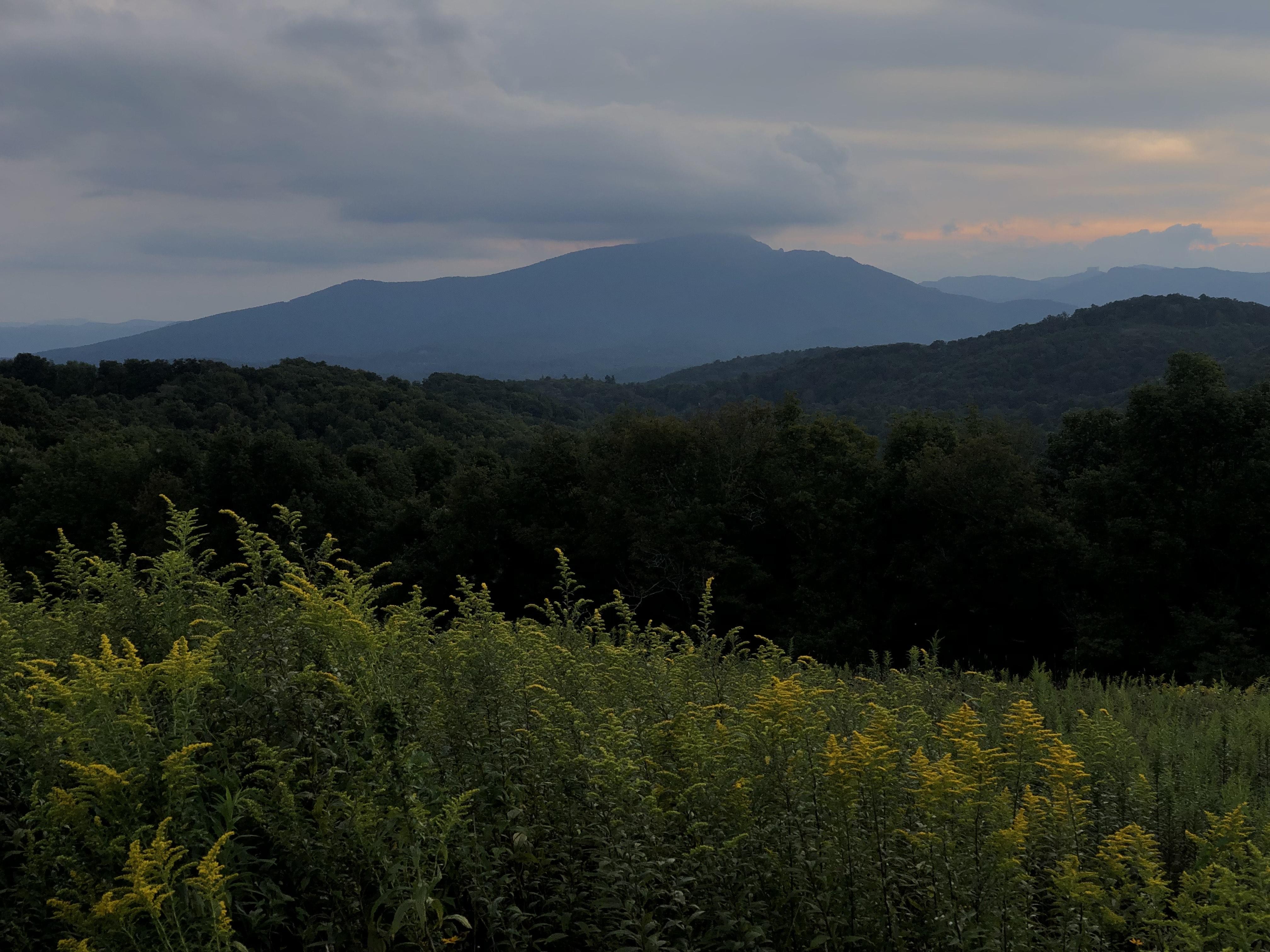 The Wedding Website of Melina Gonzalez and Foster Crossman