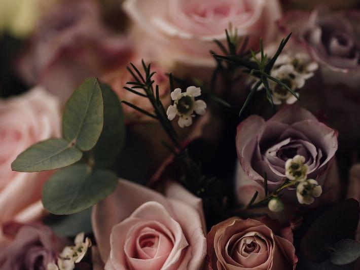 The Wedding Website of Roxanna Naranjo and Jacob Bryant