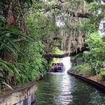 Scenic Winter Park Boat Tour