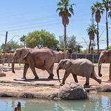 Reid Park Zoo