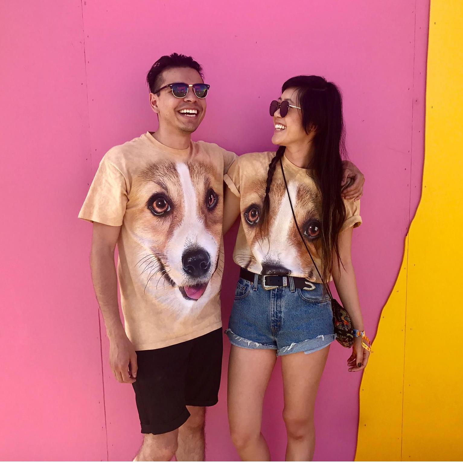 Corgis and Coachella in 2017, minus Beyoncé