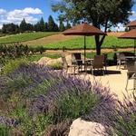 Lava Cap Winery