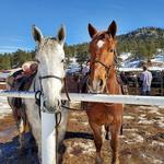 Sombrero Stables