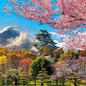 Honeymoon to Japan