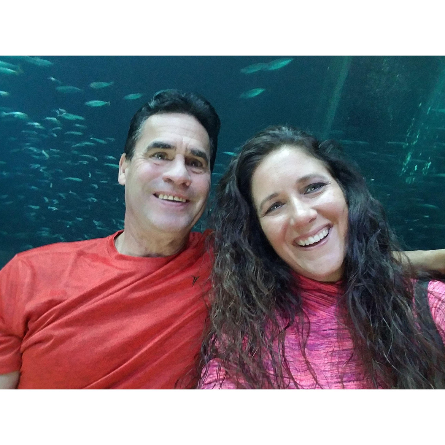 Newport Oregon Aquarium