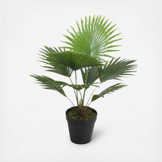 Potted Faux Fan Palm Tree