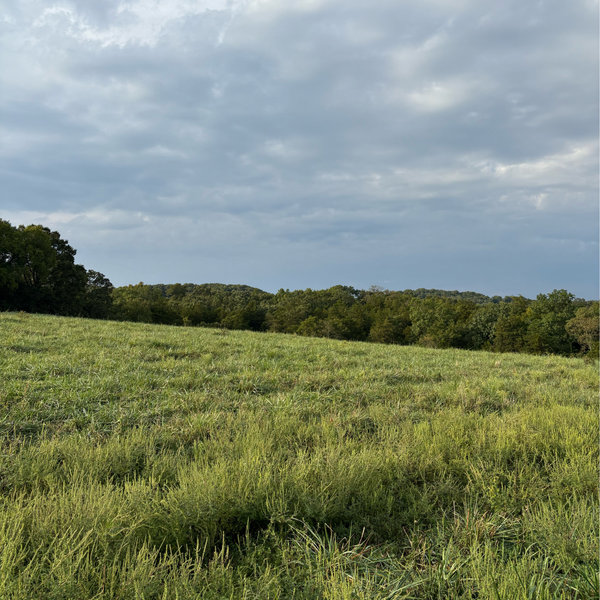 Land fund