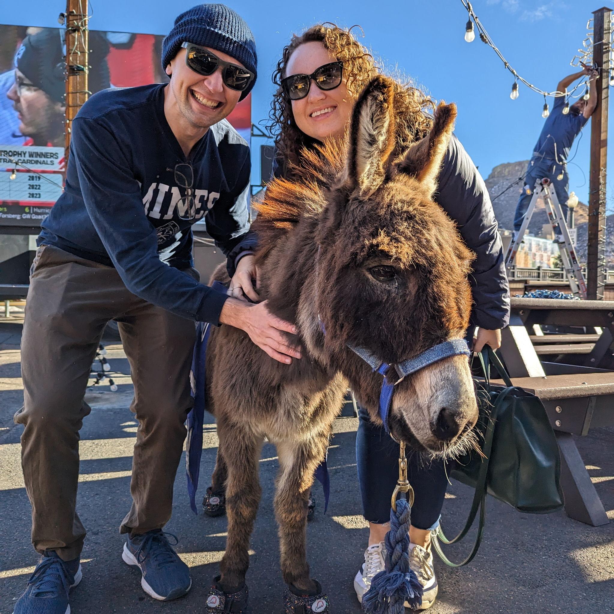 Meeting Blaster the Burro (the School of Mines mascot)
