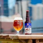 New Belgium Brewing Company