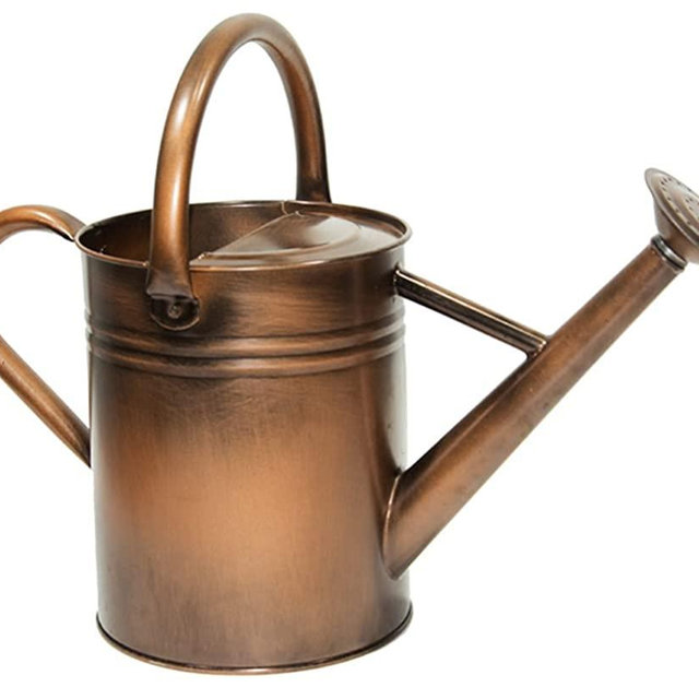 yourjoy Sliver Galvanized Steel Watering Can with Copper Accents,Removable Rosette-Diffuser,One-Gallon