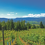 Larch Hills Winery