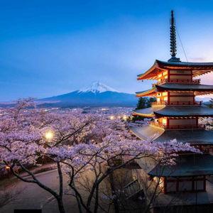 Japan Honeymoon Fund!
