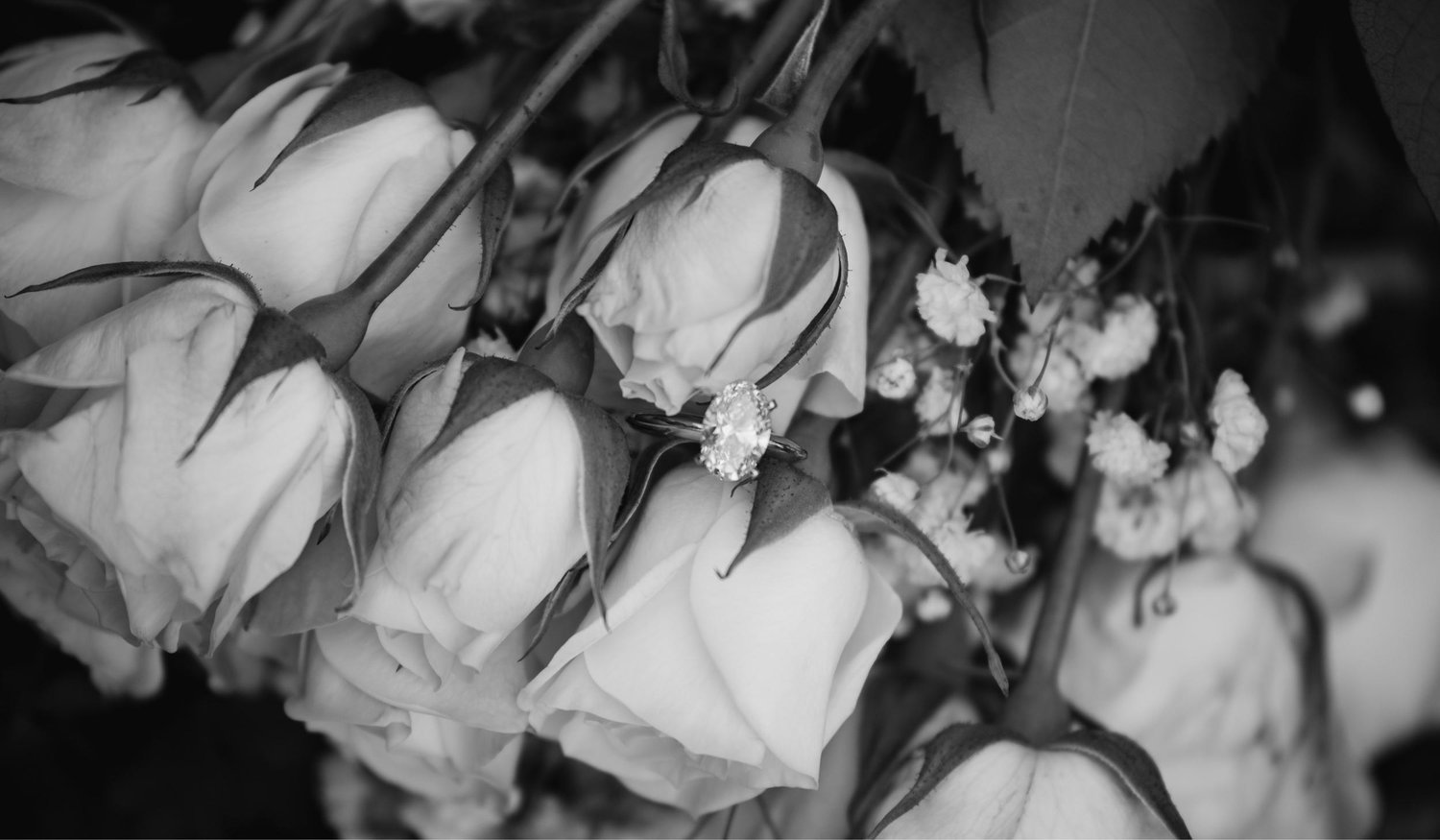 The Wedding Website of Anastasia Sibanova and Alec Czartoryski