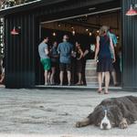 Black Birch Vineyard