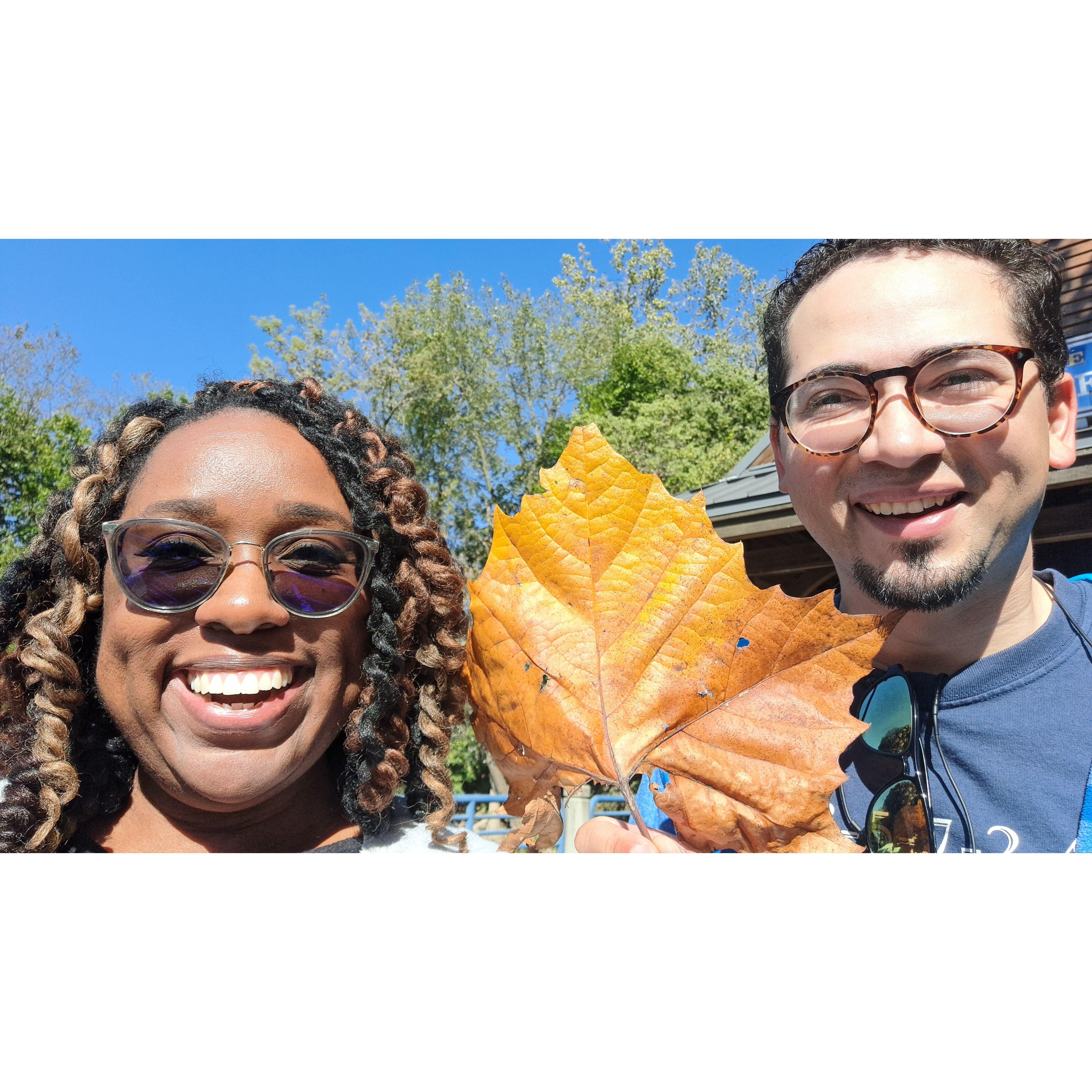 The biggest leaf EVER! We never did find which tree it came from 😆