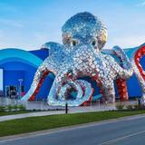 Aquarium at the Boardwalk