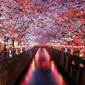 Honeymoon Adventures Fund