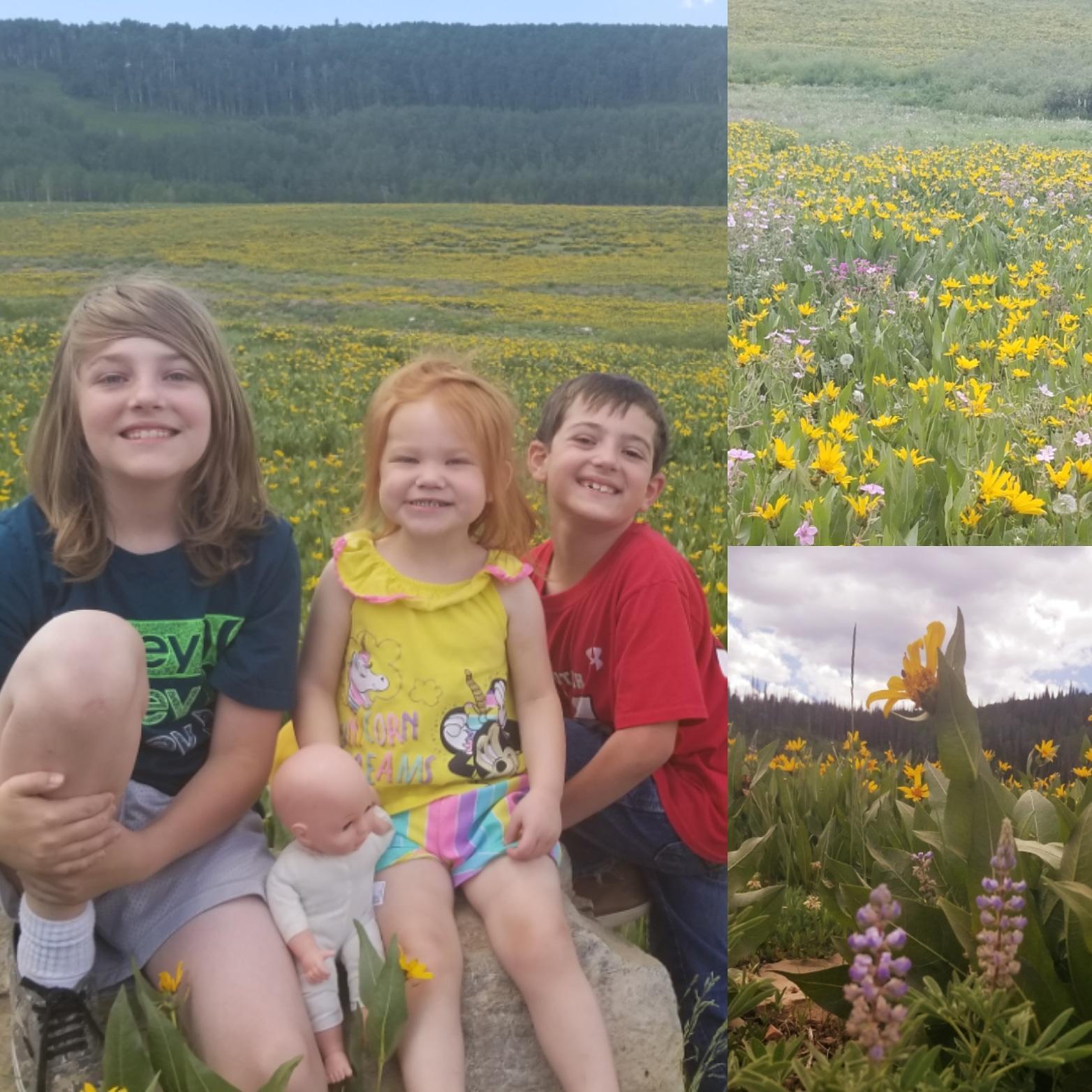 Wildflowers and Wild Children - Summer 2019