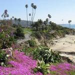 Heisler Park Beach Stairway