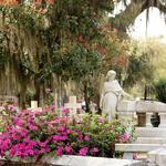 Bonaventure Cemetery