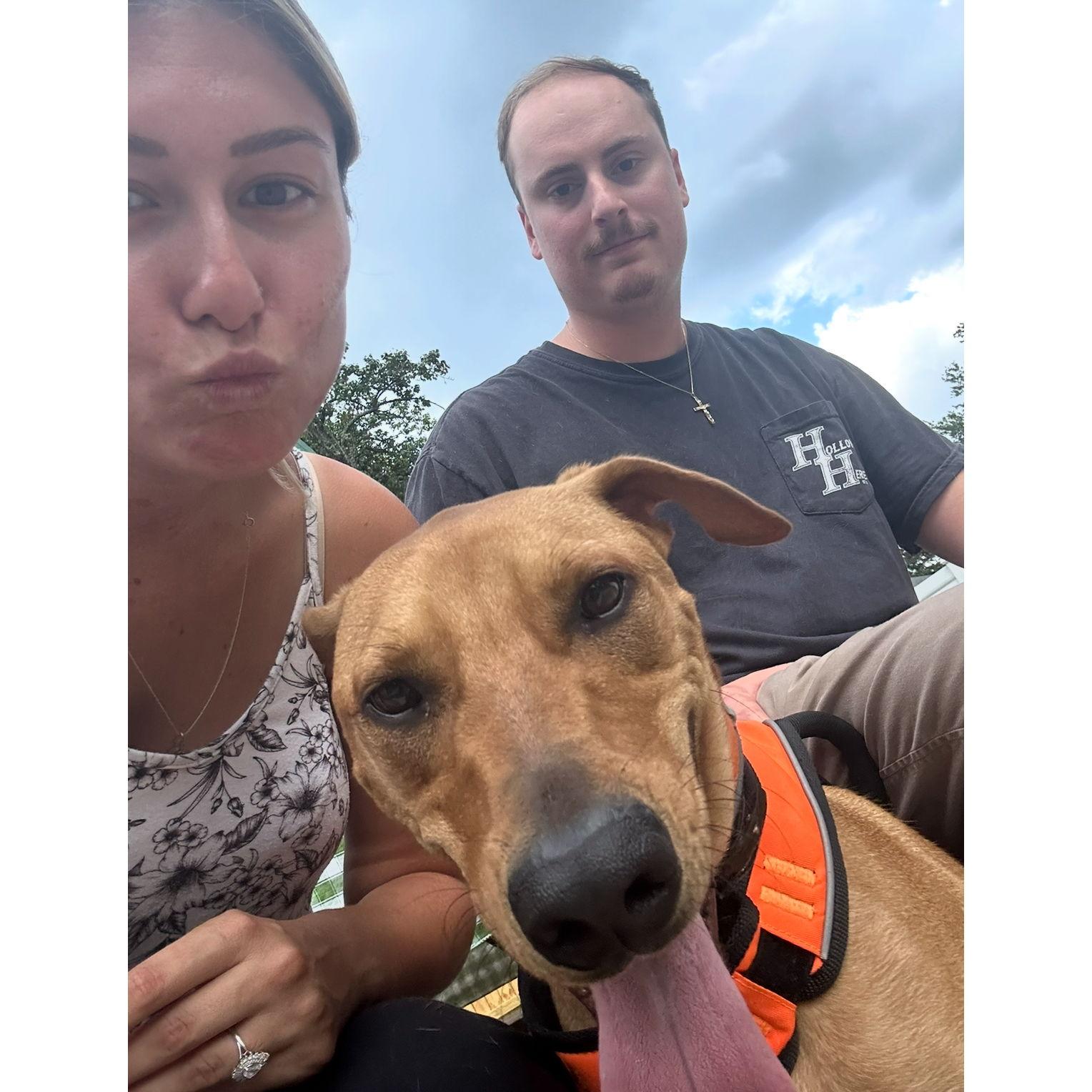 August 2024: Fur baby #2, Sage.