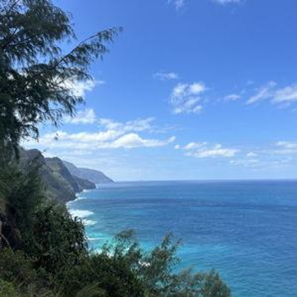 Honeymoon Activities and Excursions!