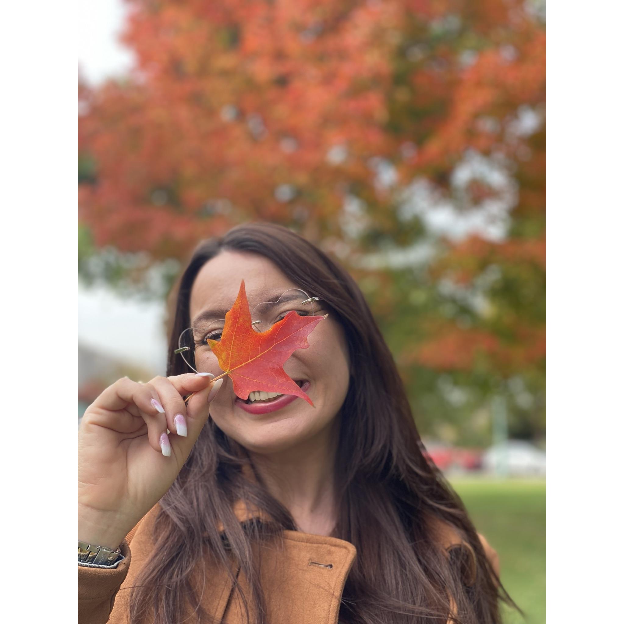 Fall in DC