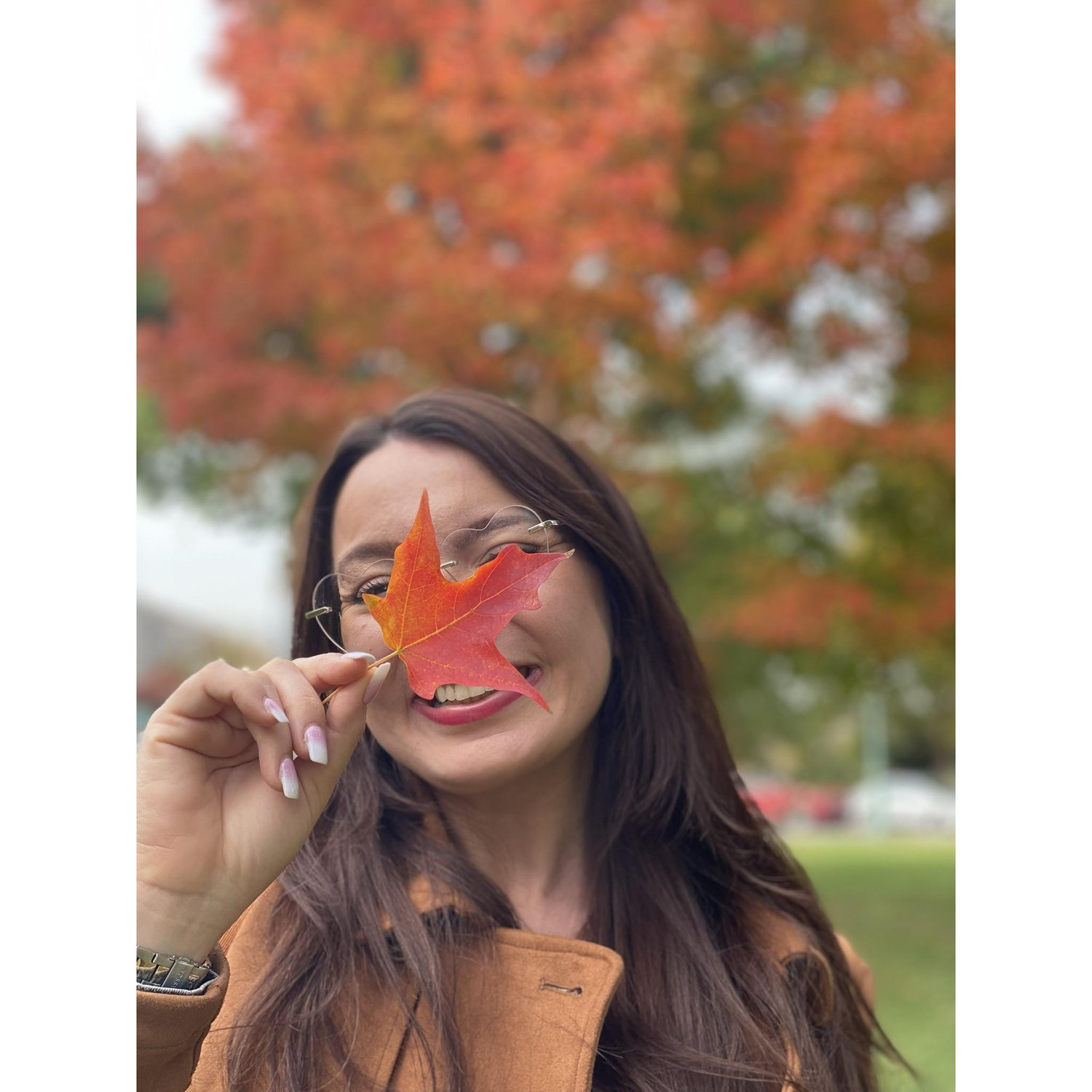 Fall in DC