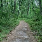 The Preserve