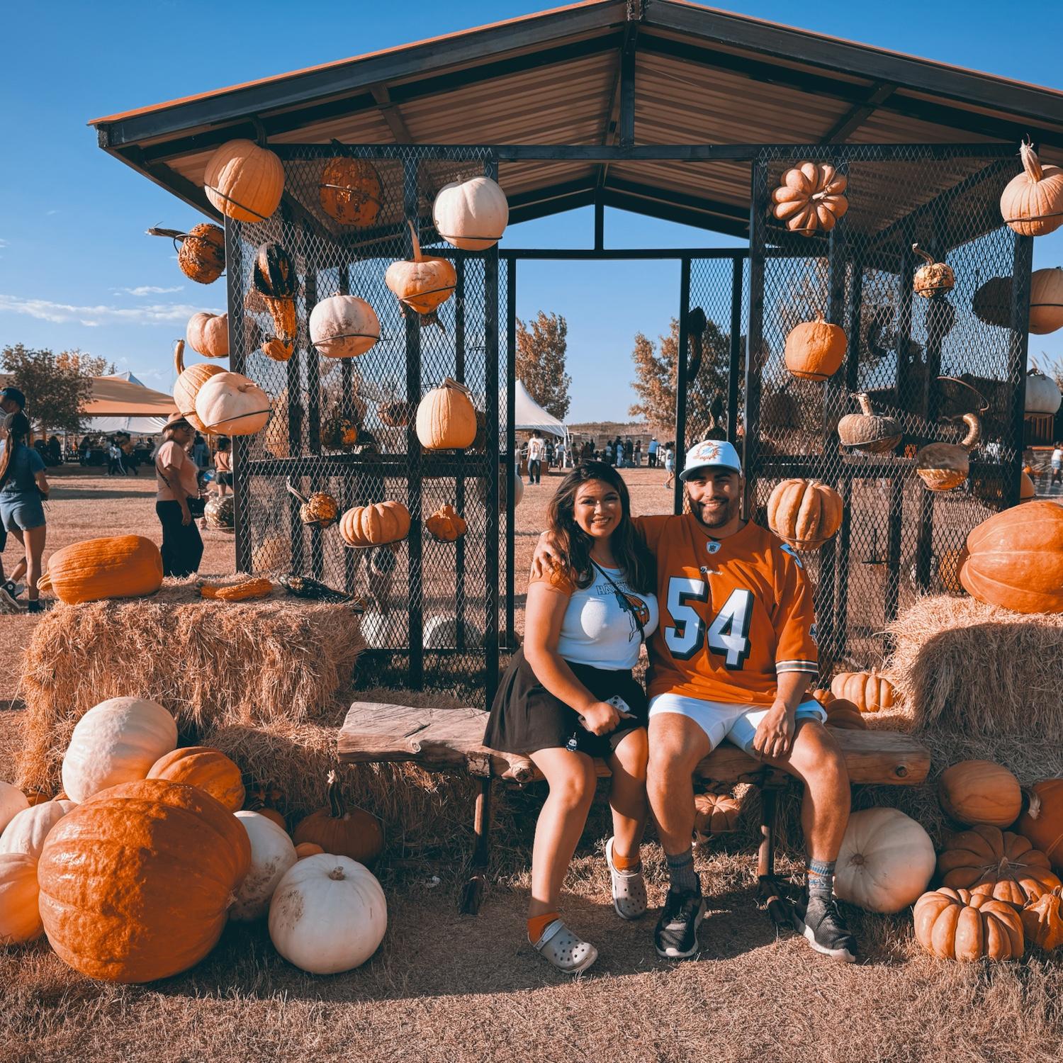 El Paso Corn Maze, October 2024