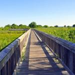 Cross Island Trail