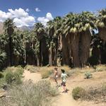 Indian Canyons